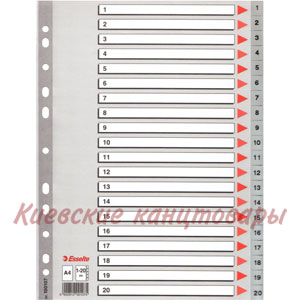 Разделители  1-20 Esselteцветные