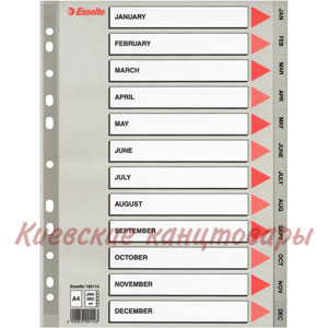 Разделители Jan-Dec Esselteсерые